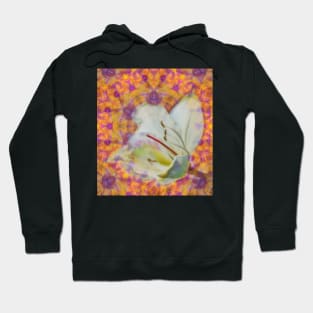 Bauhinia on vibrant kaleidoscope Hoodie